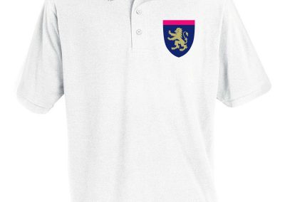 Olfcha school uniforms Polo s copy compressed 400x284 - Wholesale Badminton T Shirt Manufcaturer for Quebec City